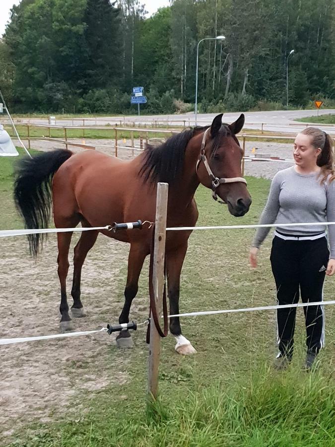 Myskje Gard Soderala Exterior foto